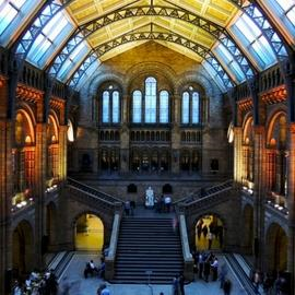 Natural History Museum Natural History Museum