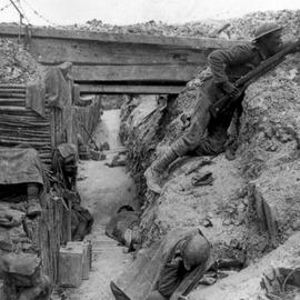 Yorkshire Trench Yorkshire Trench