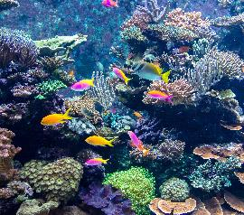 National Aquarium National Aquarium