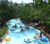 Disney's Typhoon Lagoon Water Park Disney's Typhoon Lagoon Water Park
