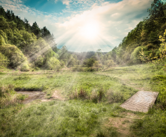 Dalby Forest Dalby Forest
