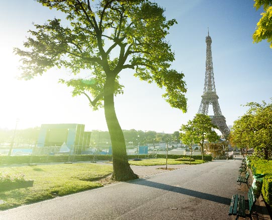 Paris Paris