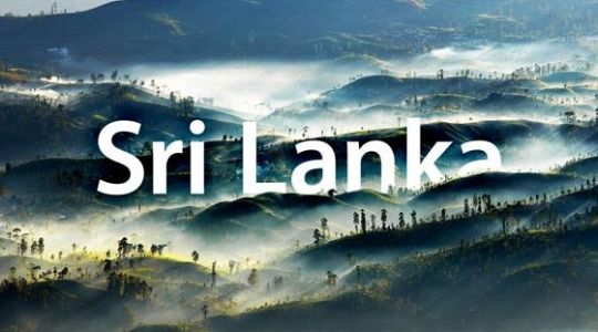 Why Choose Sri Lanka for Your Next School Trip? Why Choose Sri Lanka for Your Next School Trip?