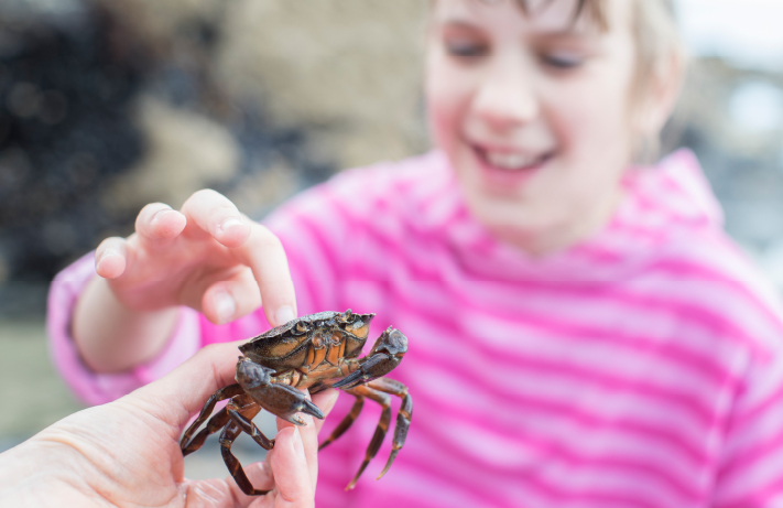 School Trip | School Residential Trip to Cornwall Image of Cornwall