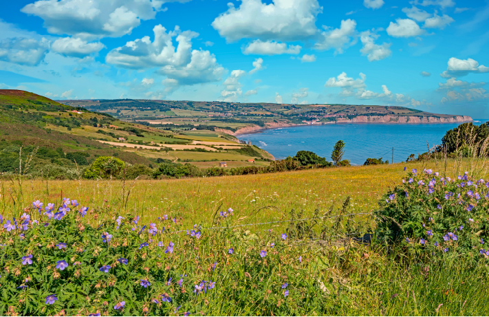 School Trip | School Geography Trip to the North York Moors Image of North York Moors National Park